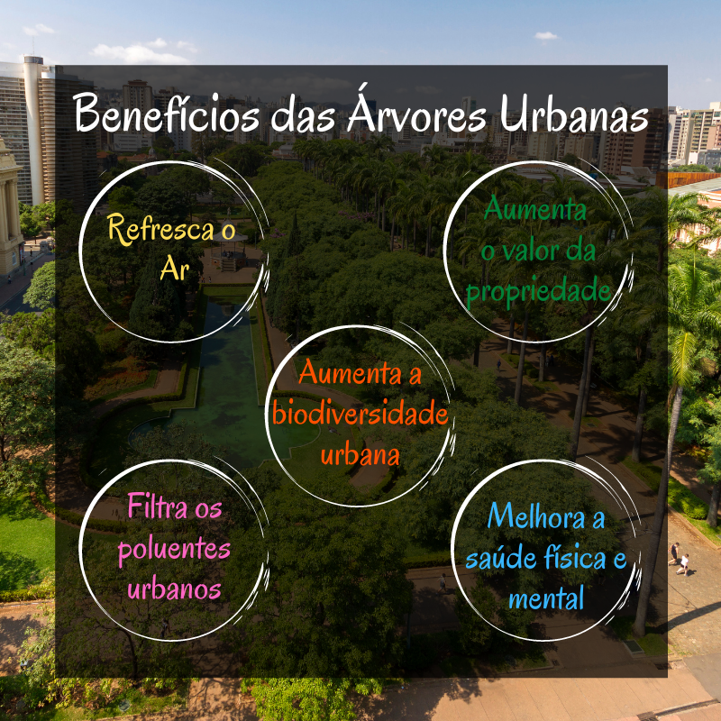 árvores urbanas